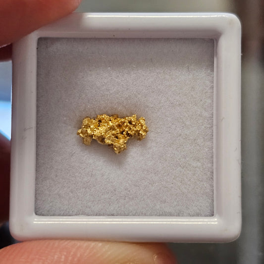 0.38g Reef Gold Nugget