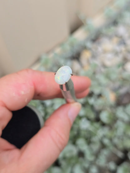 Opal, White Range Red flash.