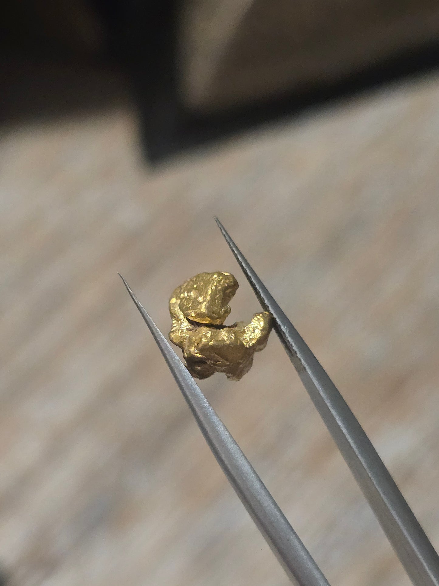 2.624g Clearmont gold nugget