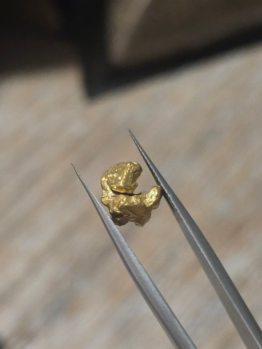 2.624g Clearmont gold nugget