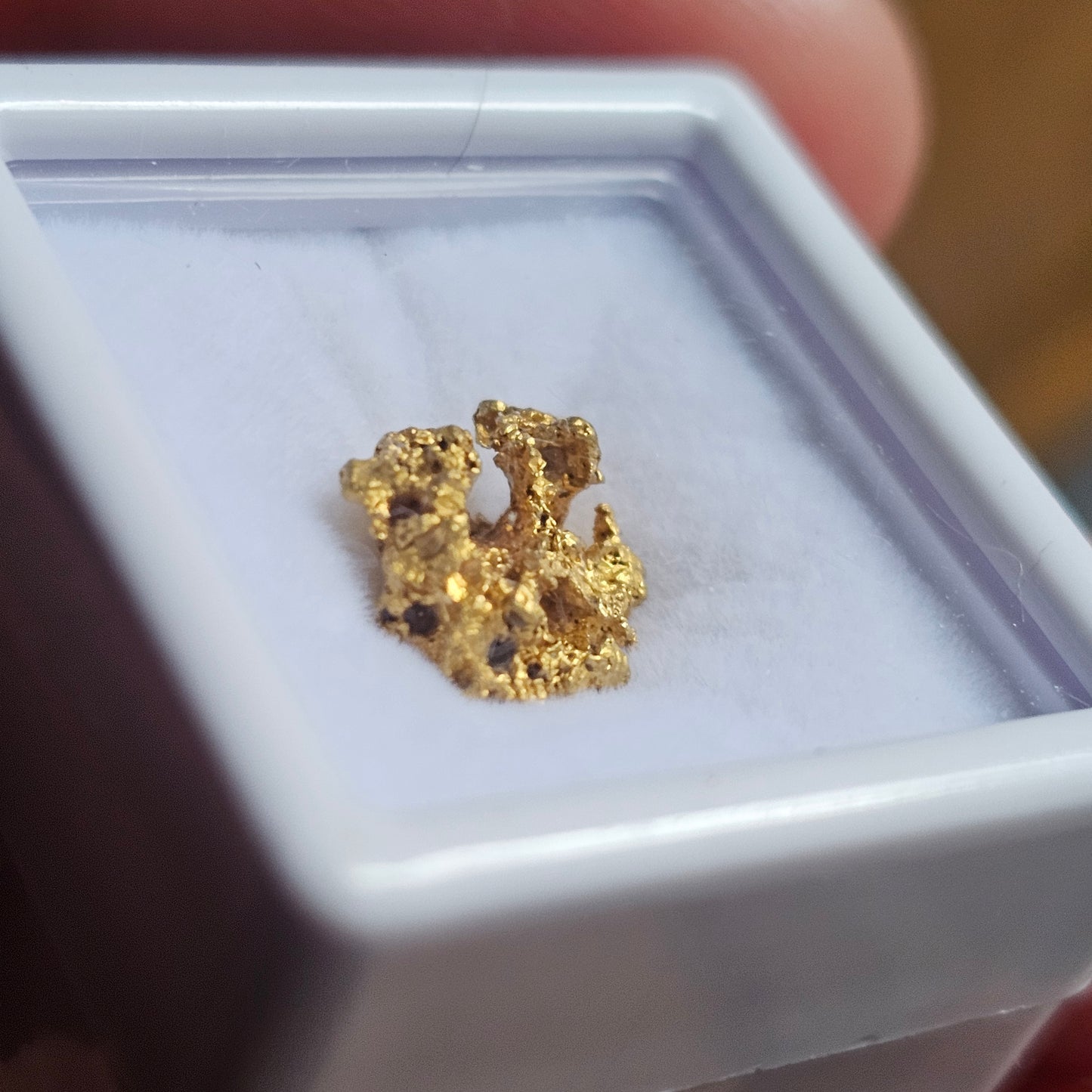 1.86g FNQ gold nugget