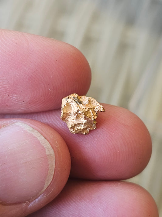 Reef Gold Nugget 1.87 Grams.