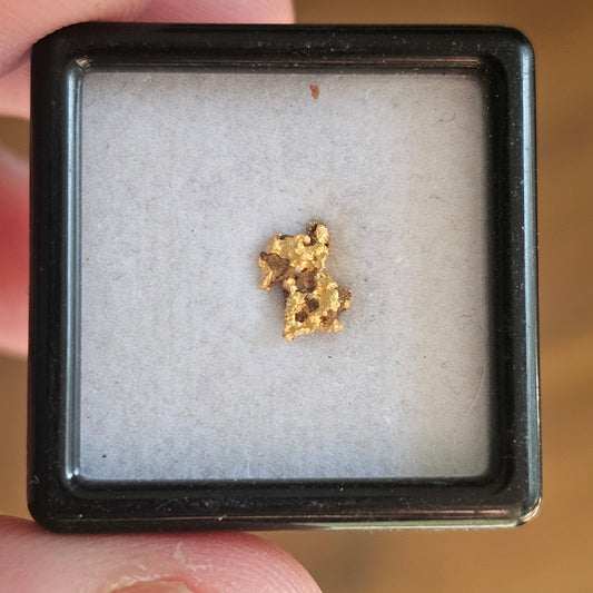 0.31g Bendigo Gold Nugget