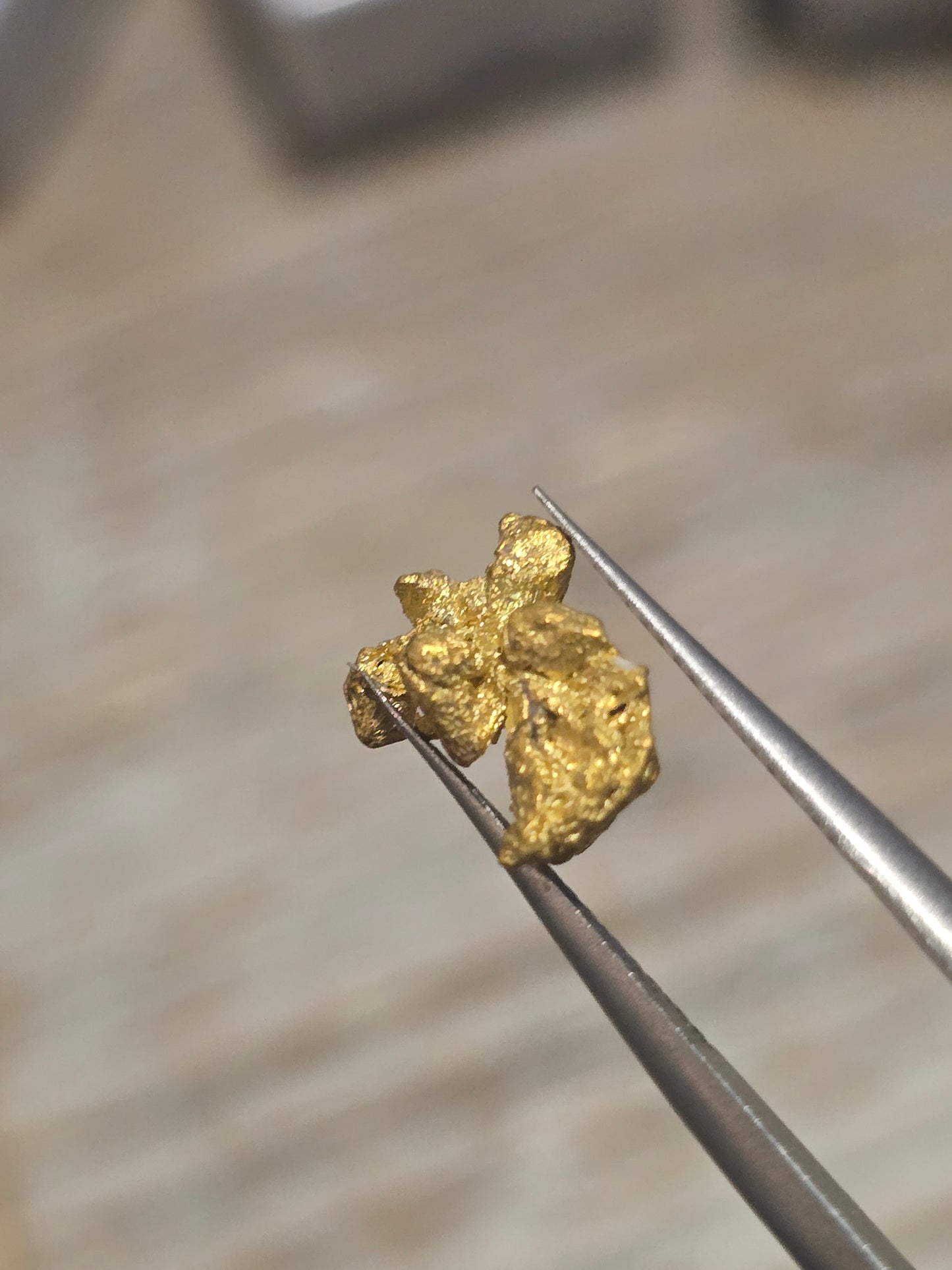 1.205g Clearmont Gold Nugget