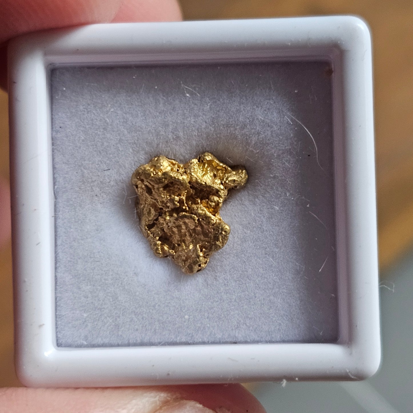1.56g FNQ GOLD NUGGET