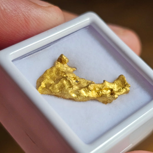2.95g Gold Nugget