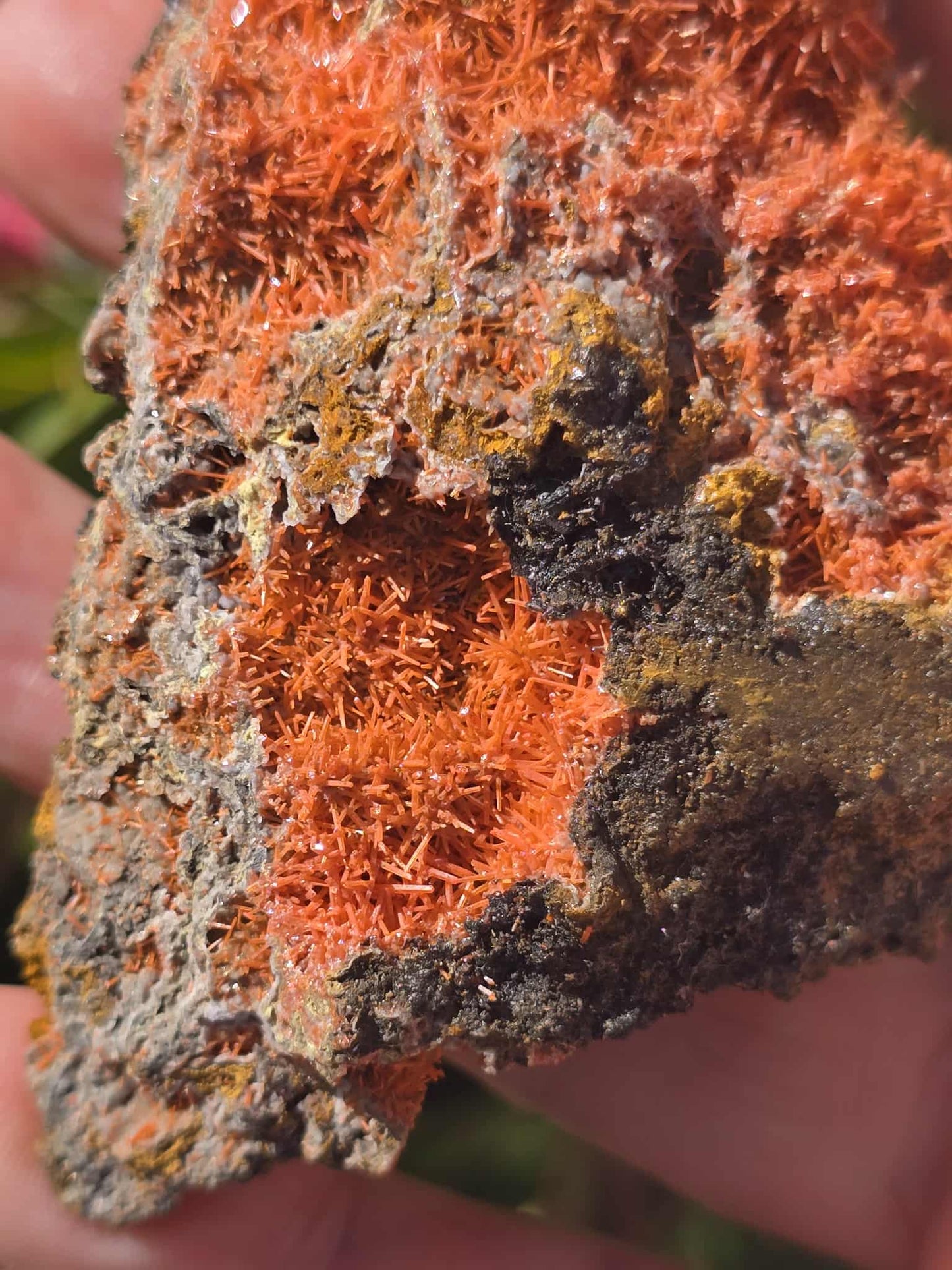 Rare Crocoite specimen Lrg