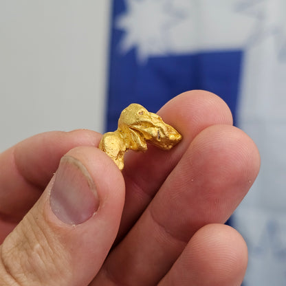 13.49g Western Australia Nugget