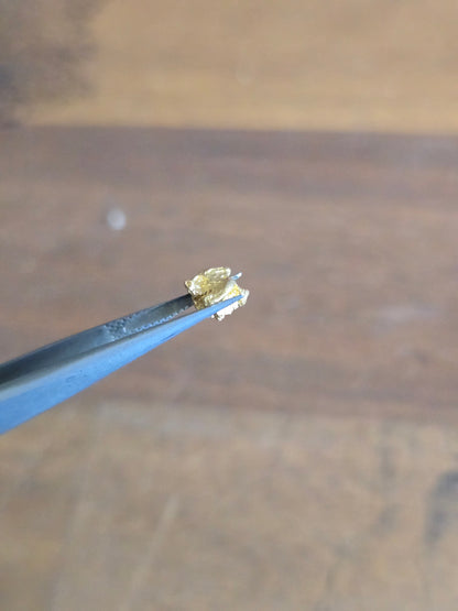 0.59g Gold Nugget