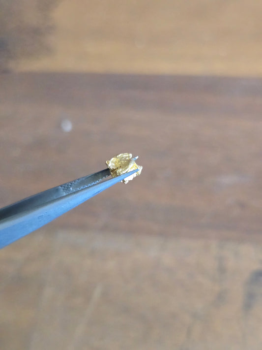 0.59g Gold Nugget