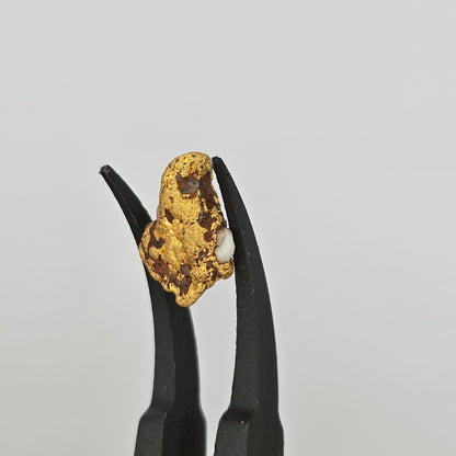 1.88g Bendigo Gold Nugget
