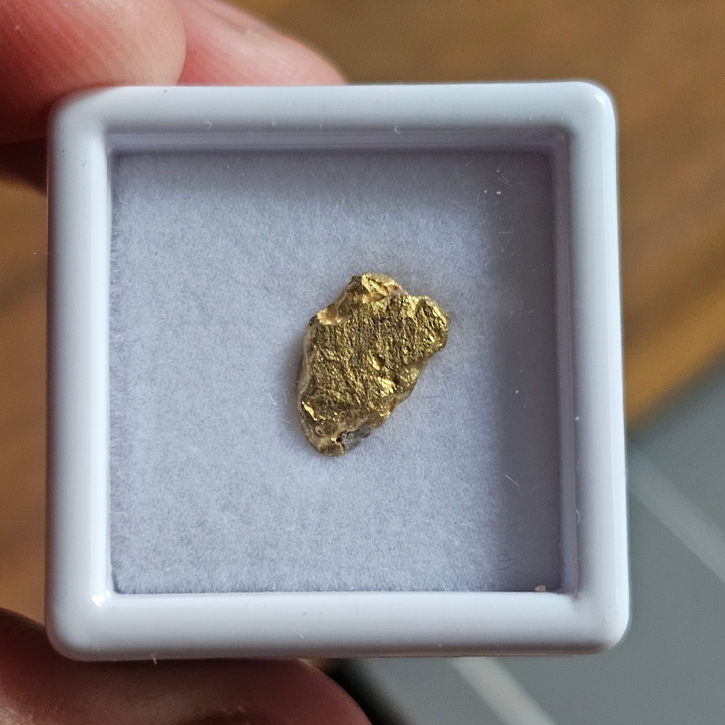 1.68g FNQ gold nugget