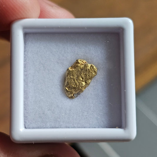 1.68g FNQ gold nugget