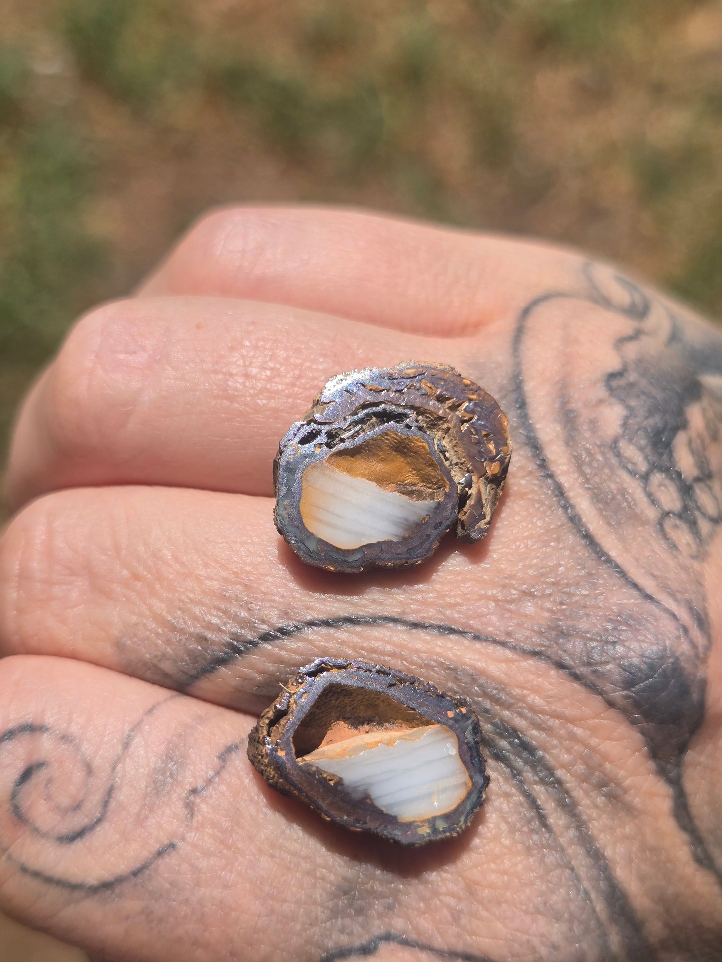 Opal Nut