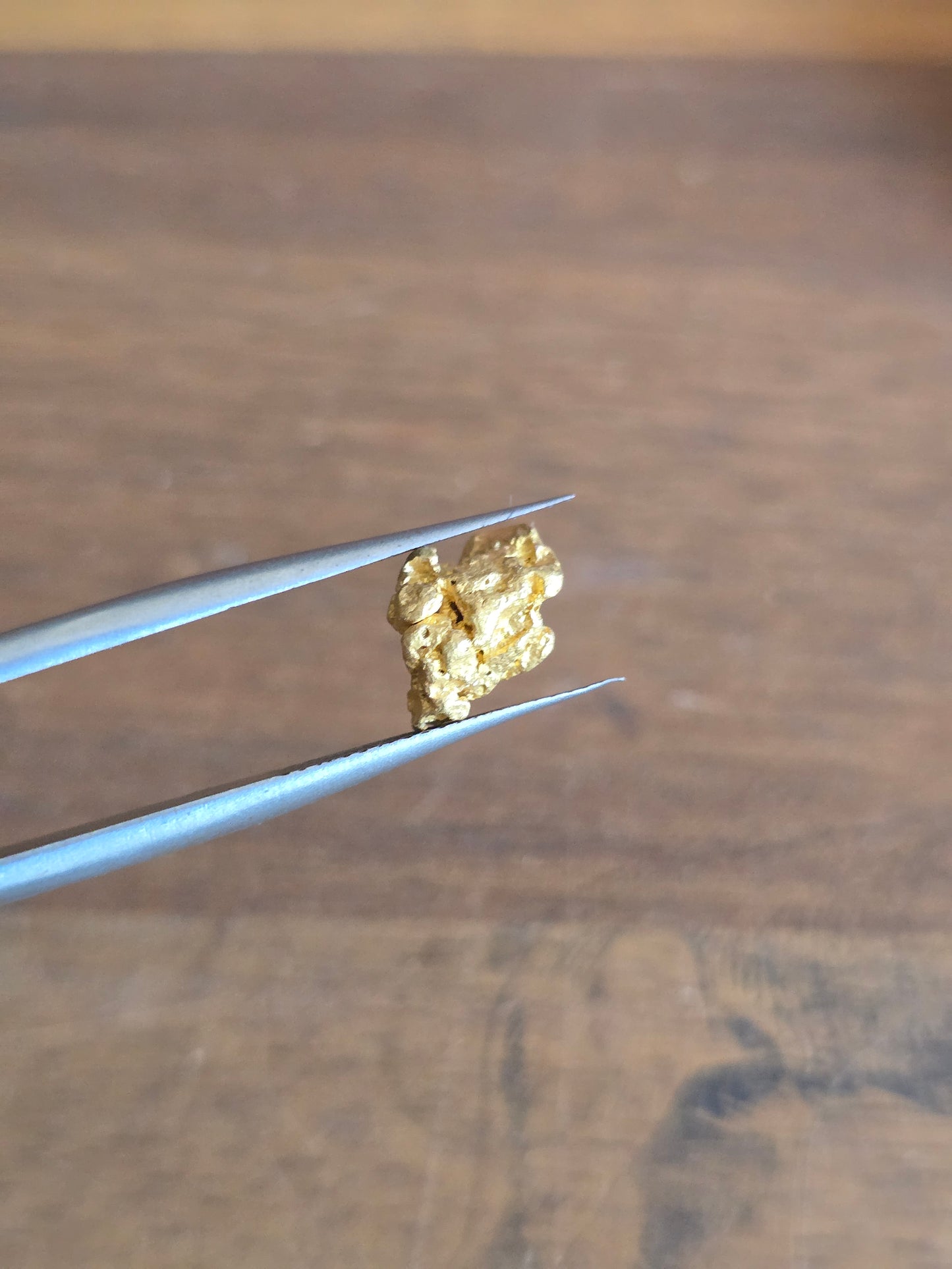 1.59g Gold Nugget