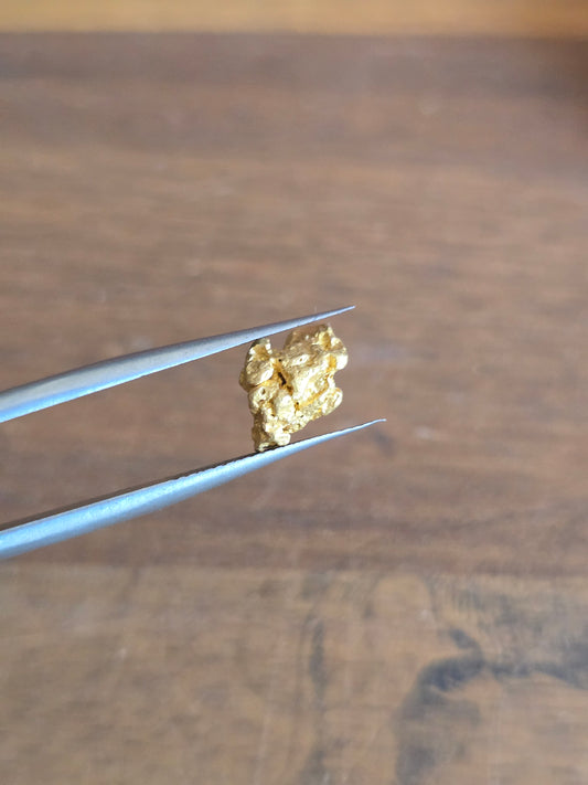 1.59g Gold Nugget