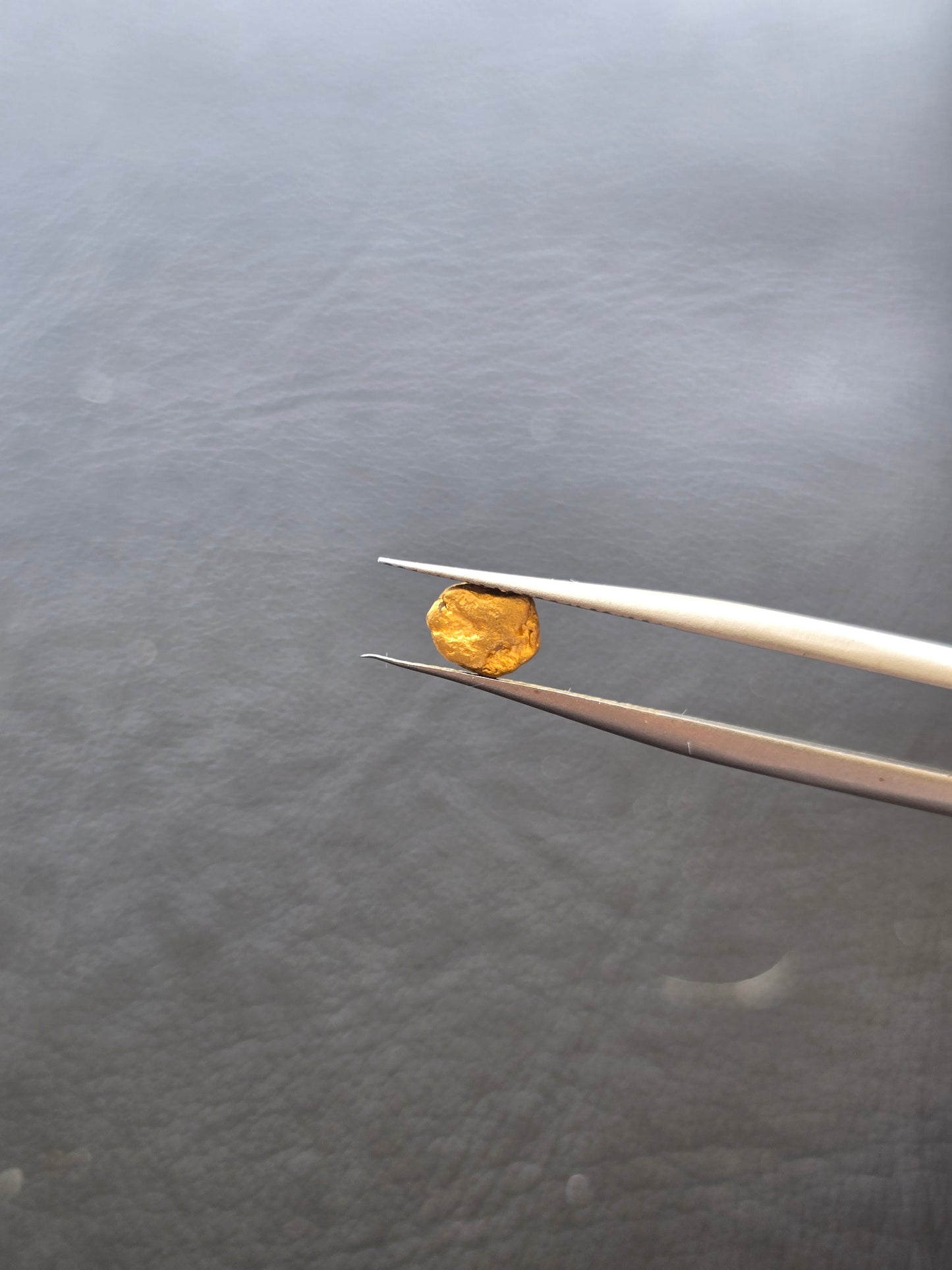 0.39g Gold Nugget
