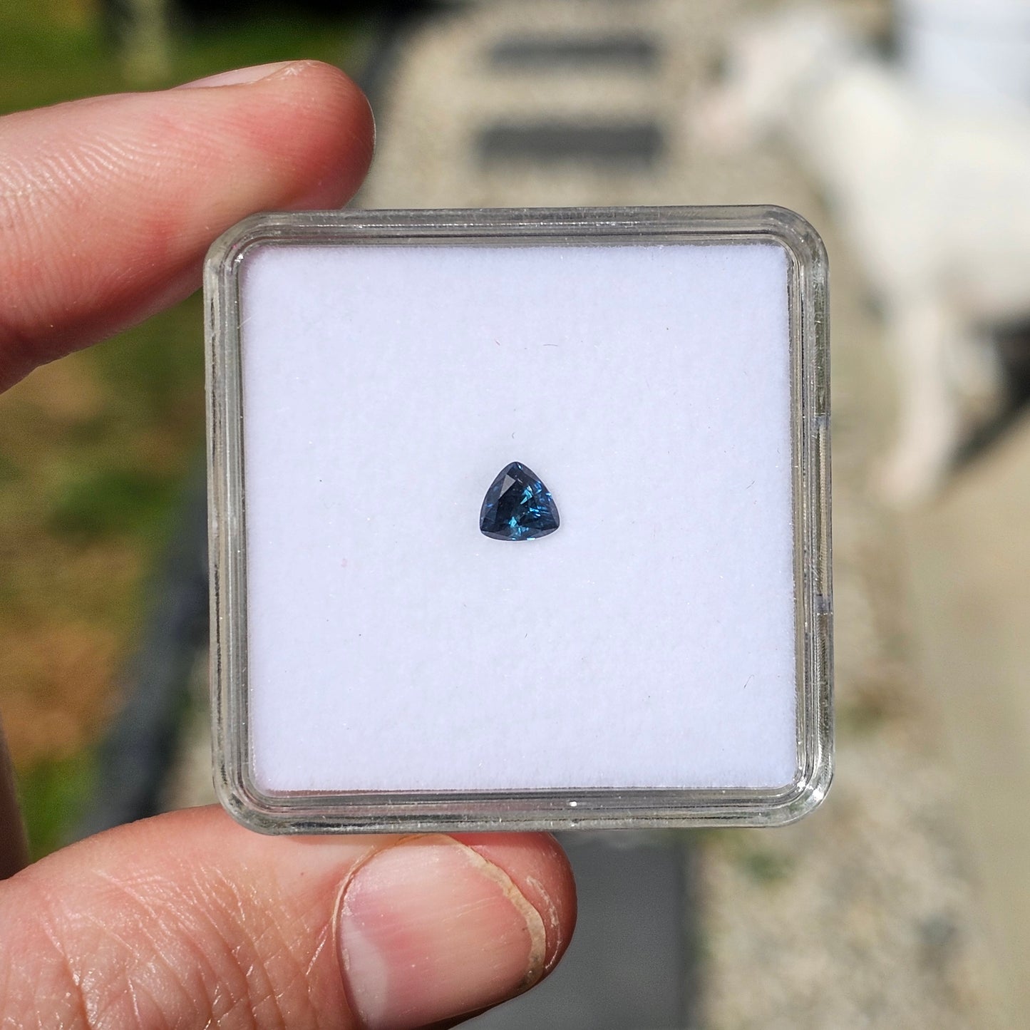 0.64ct Blue Trilliant CQ Sapphire
