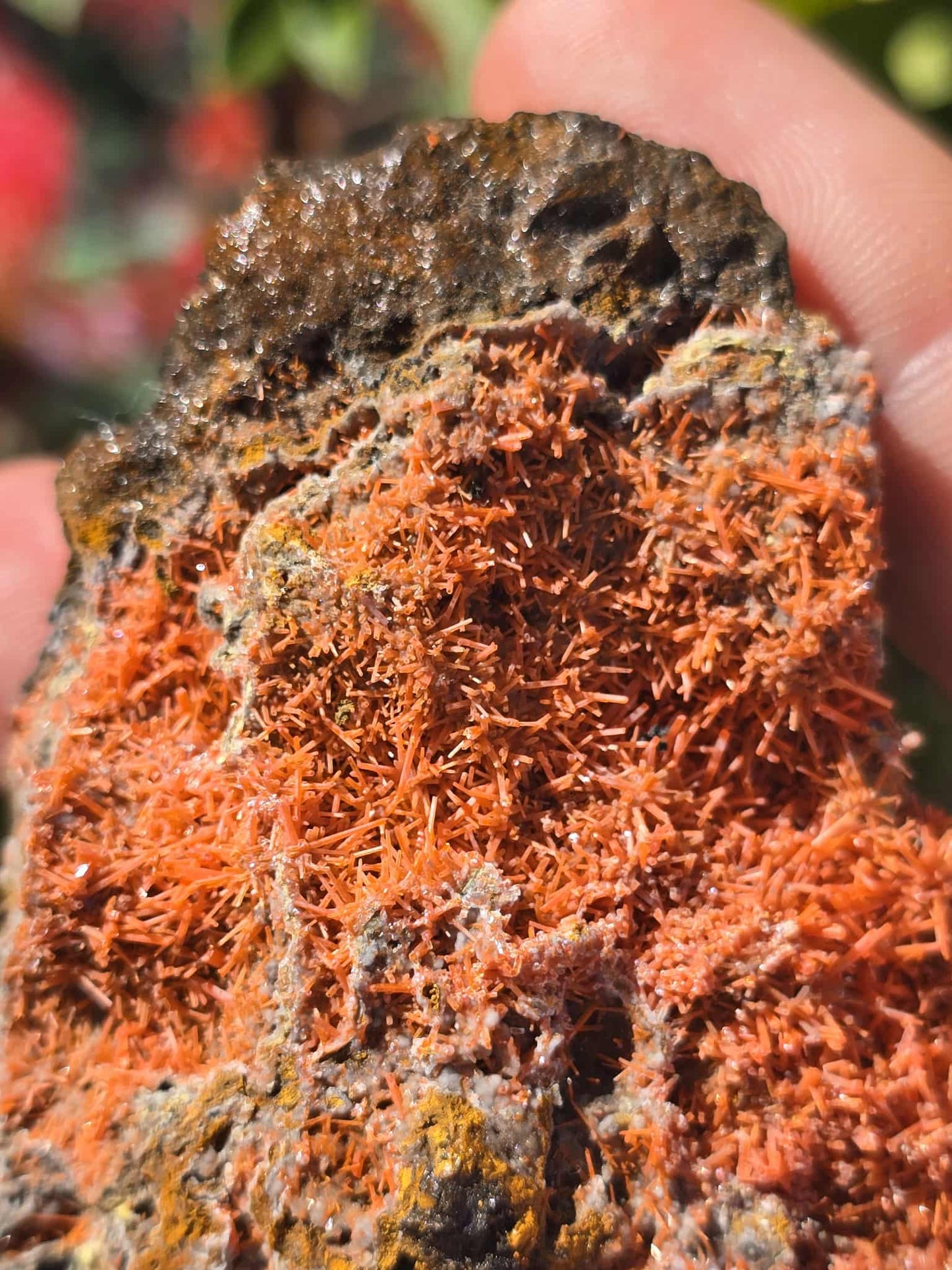 Rare Crocoite specimen Lrg