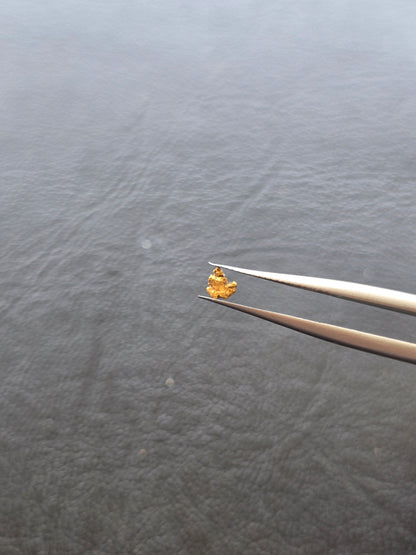 0.07g Gold Nugget