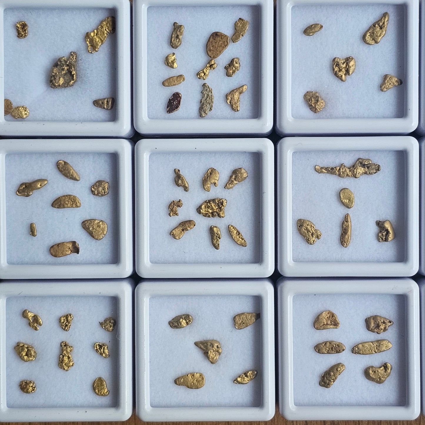 1 Gram Alpine Gold Parcels
