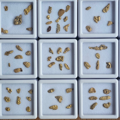 1 Gram Alpine Gold Parcels