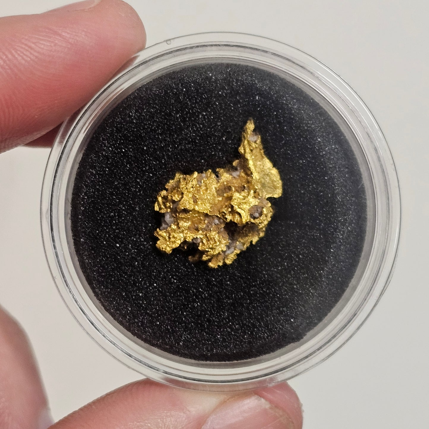 8.80g Reef Specimen from Beaufort