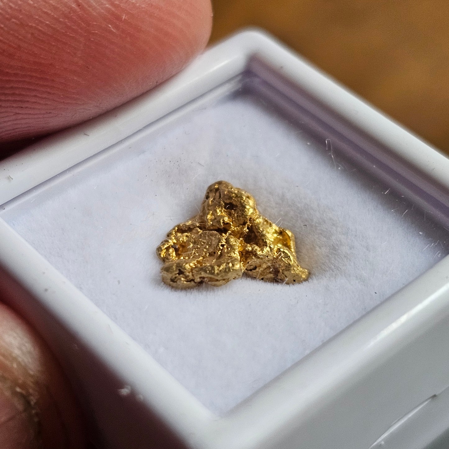 1.56g FNQ GOLD NUGGET