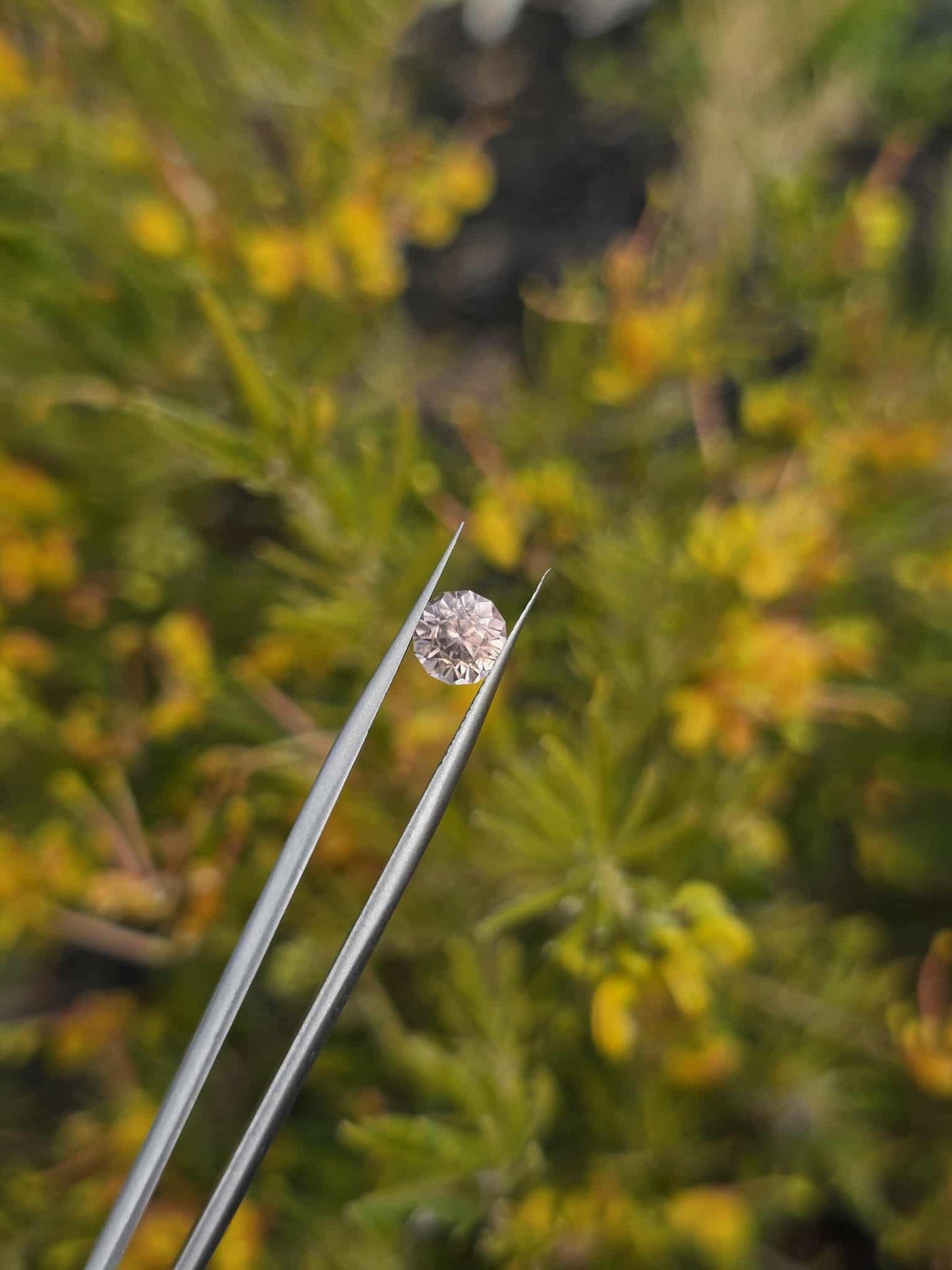 Pink Zircon