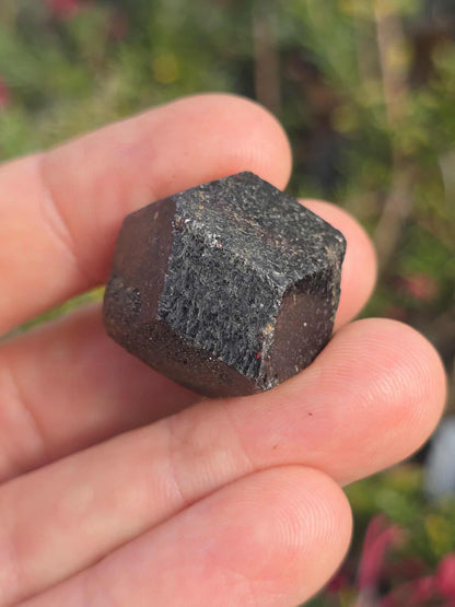 NSW Raw Garnet