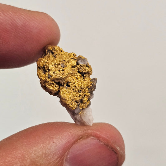 6.25g Reef Gold Specimen