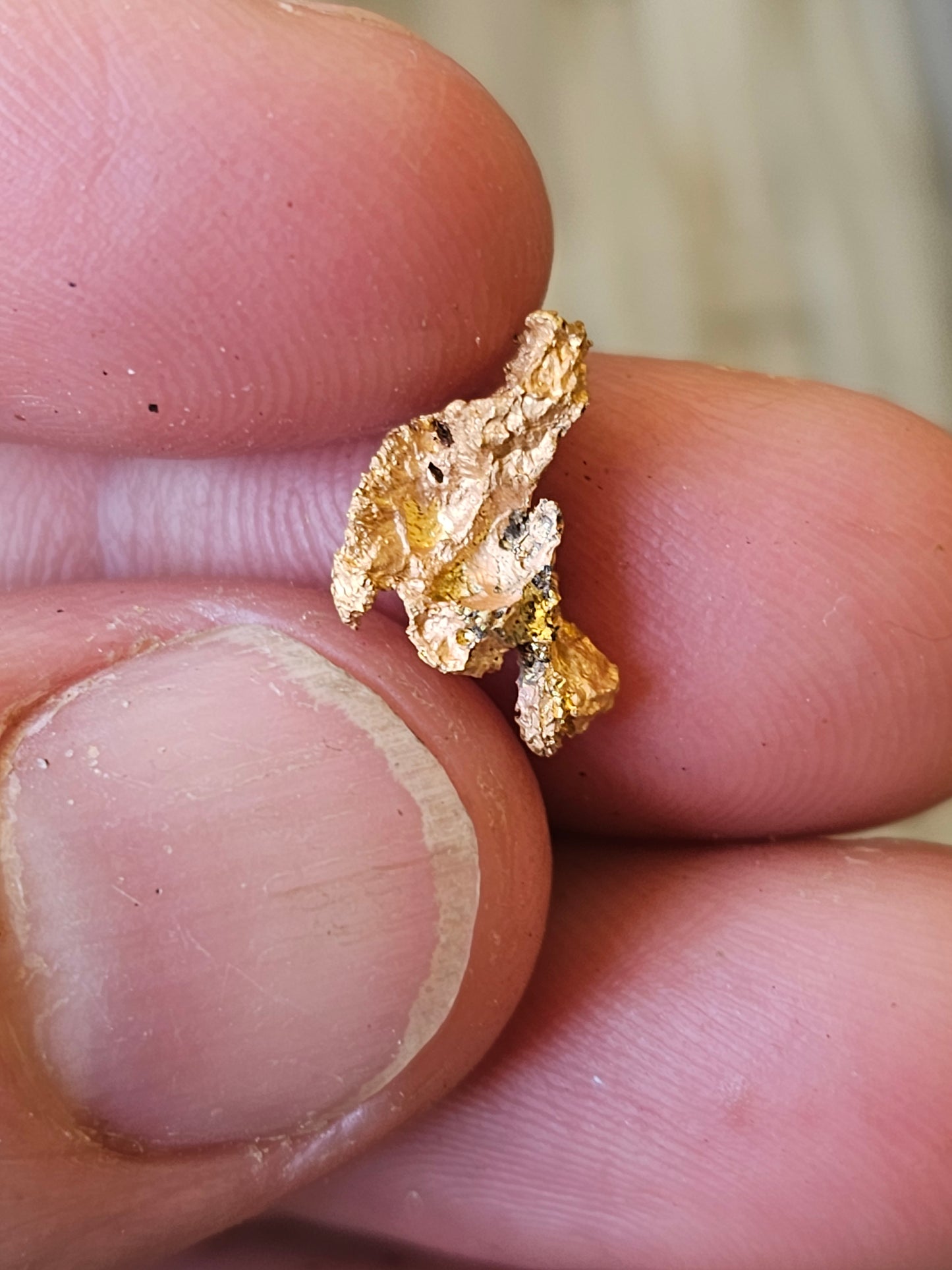 Reef Specimen Gold Nugget 1.54 Grams