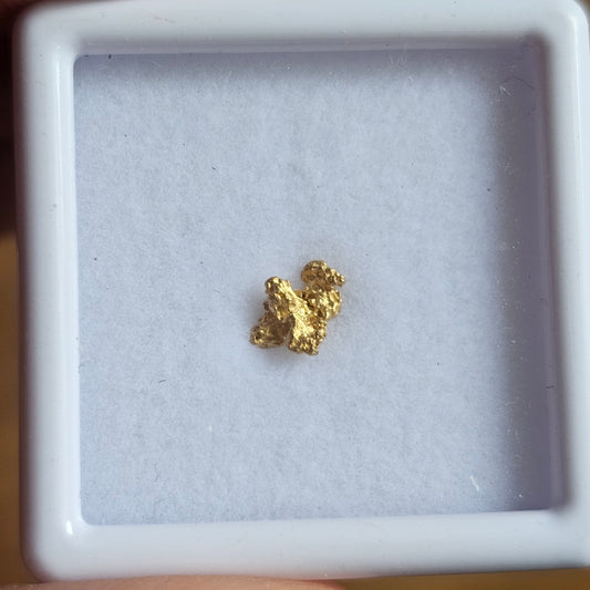 0.204g Bendigo Gold Nugget