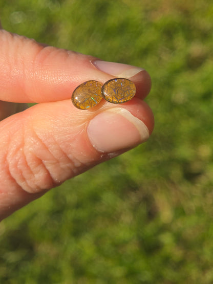 Opal Earrings #O