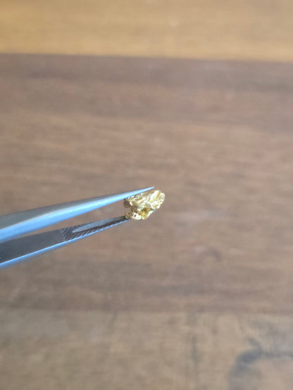 0.52g Gold Nugget