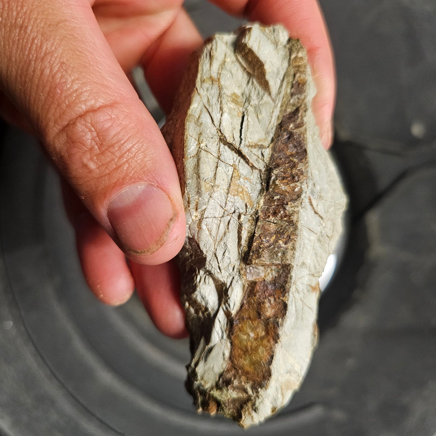 Gold Ore | 500g | unprocessed