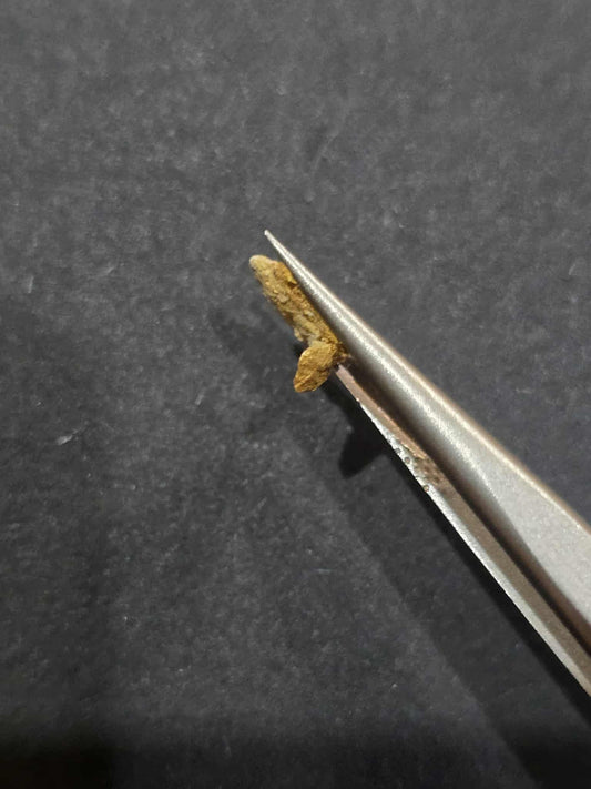 0.446 gold leaf nugget