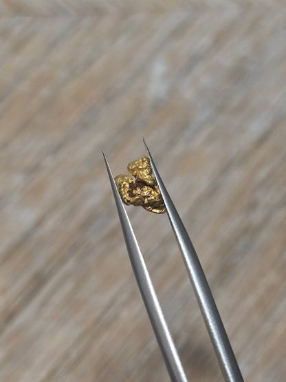 1.418g Clearmont gold nugget