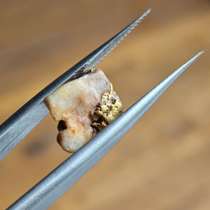 2.14g Buckland Gap Nugget