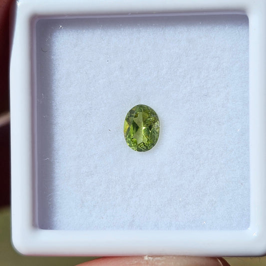 Peridote | oval cut