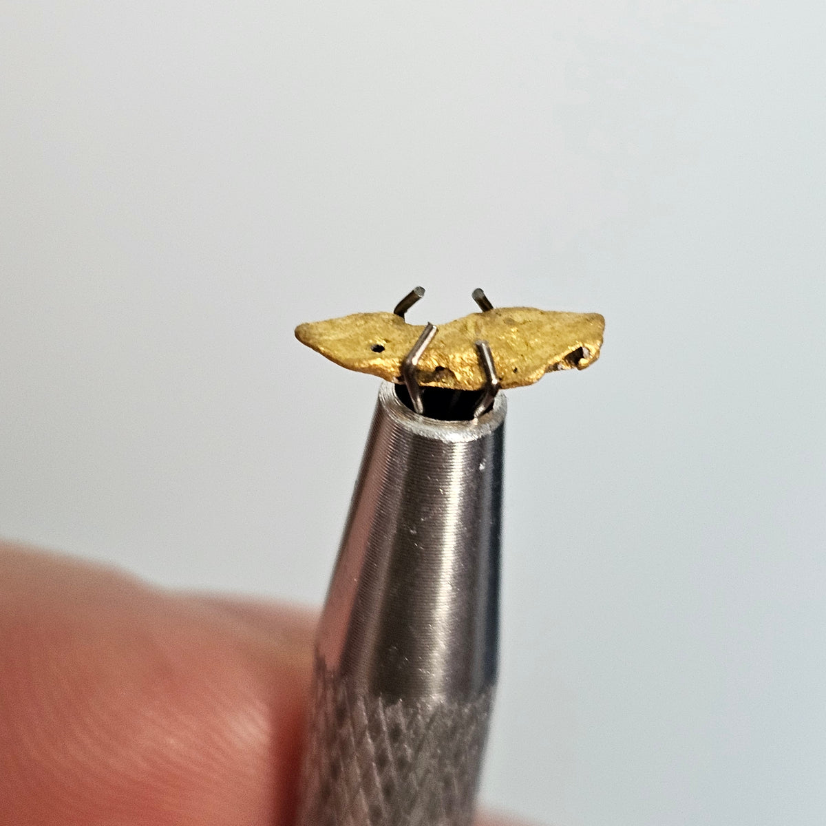 0.827 Western Australia Gold Nugget