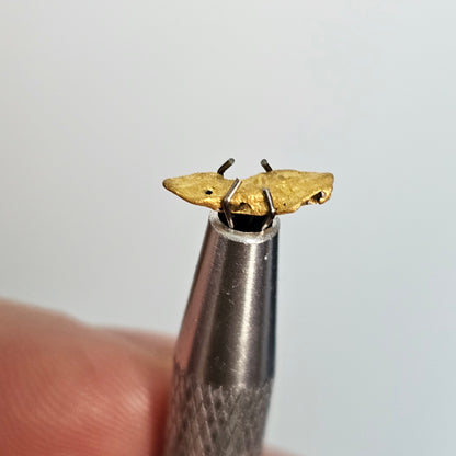 0.827 Western Australia Gold Nugget