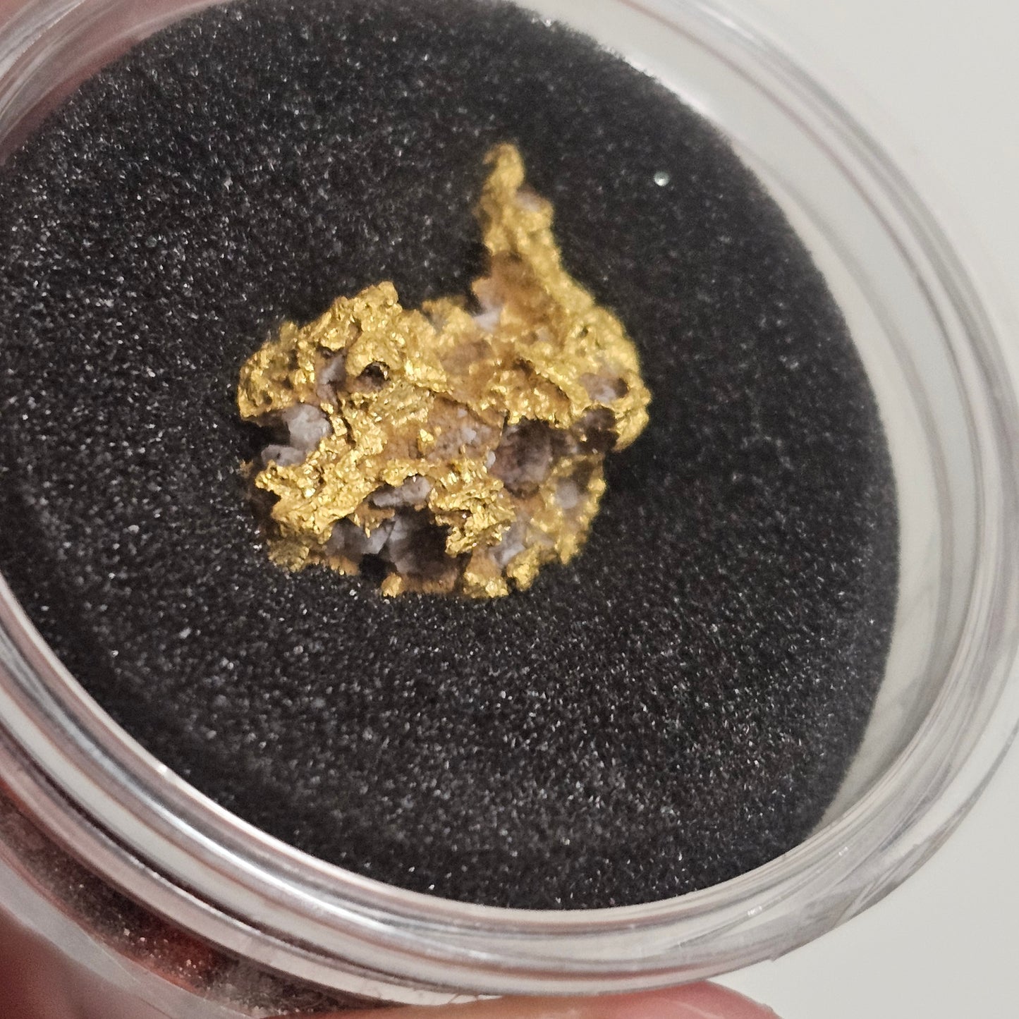 8.80g Reef Specimen from Beaufort