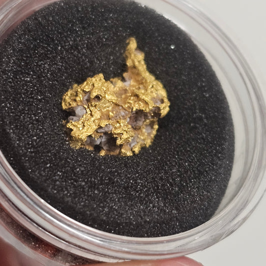 8.80g Reef Specimen from Beaufort