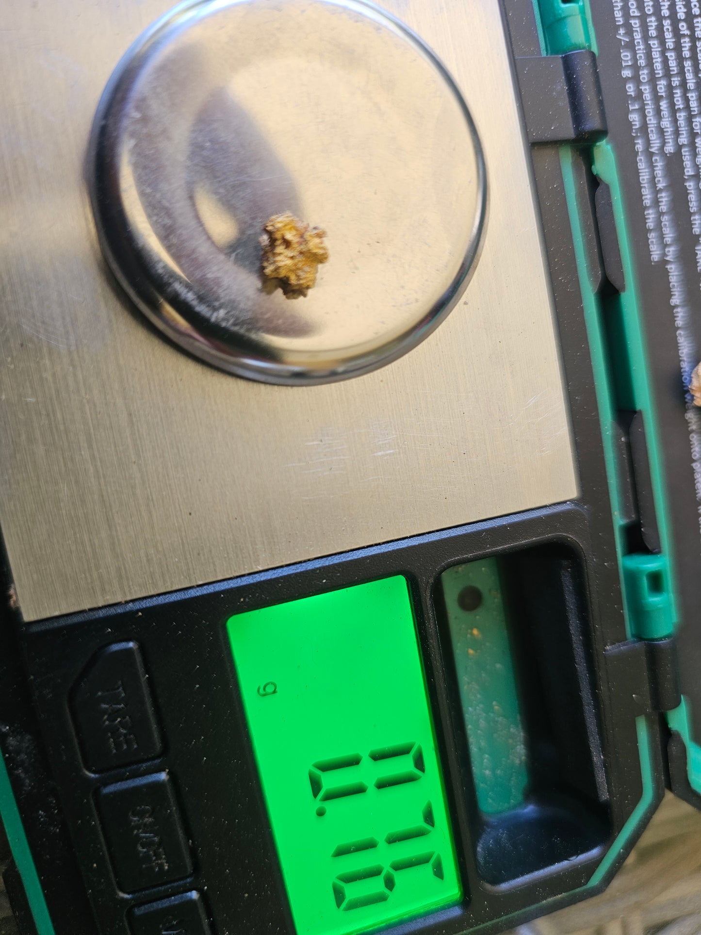 Reef Gold Specimen 0.76 Grams