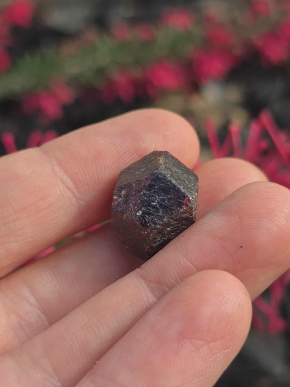 Broken Hill Raw Garnet