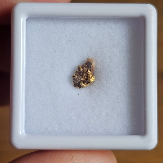 0.36g WA Gold Nugget