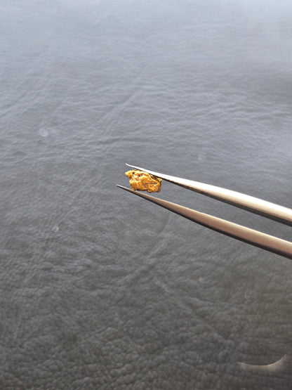 0.37g Gold Nugget