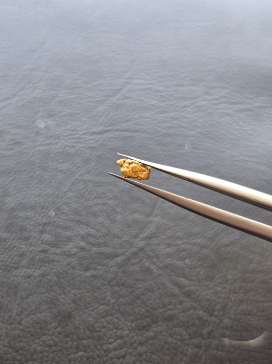 0.37g Gold Nugget