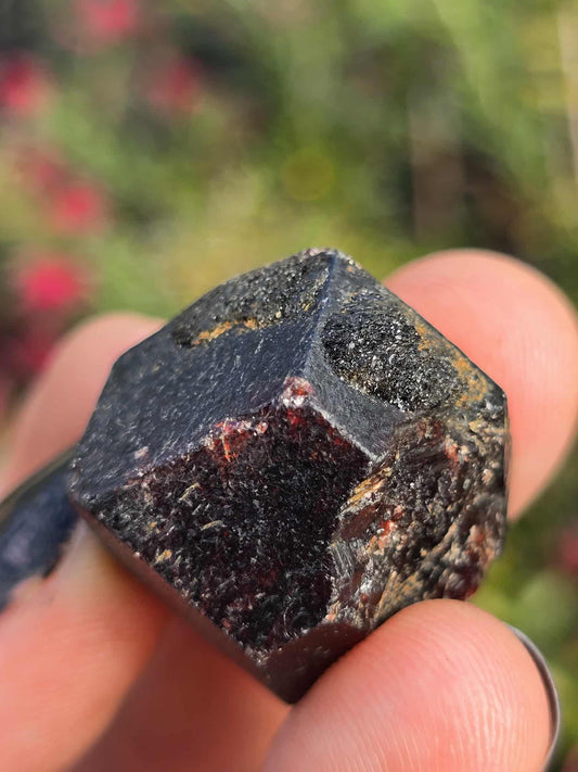 NSW Raw Garnet